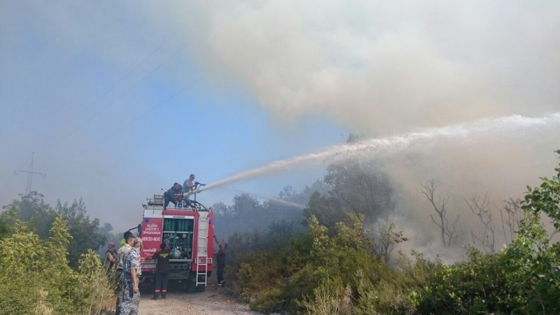 The fire that engulfed large areas of forests in Montenegro was the reason for many media manipulations