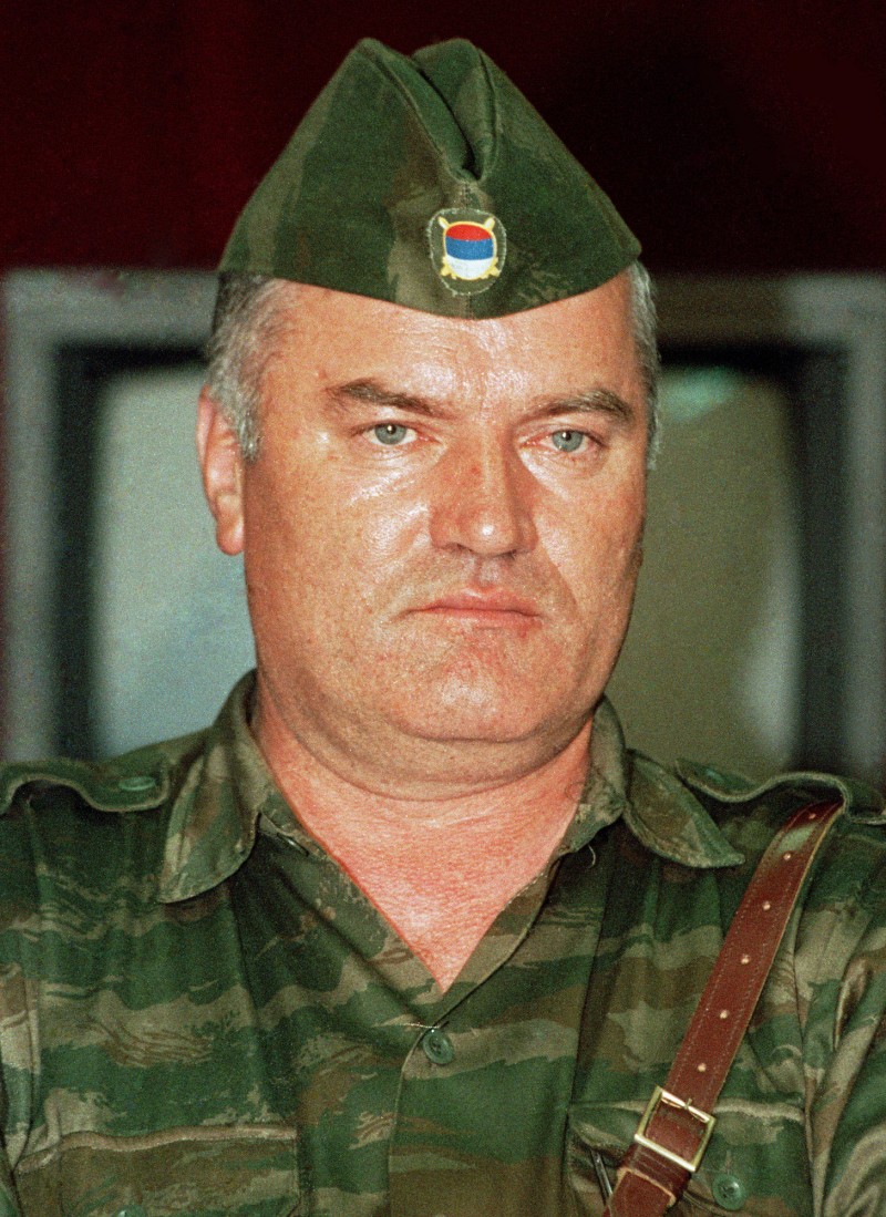 General Ratko Mladić, komandant Glavnog štaba Vojske Republike Srpske, naredio je 28. jula da se razoružaju sve paravojne formacije, jer se uglavnom nalaze u pozadini frontova i u borbena dejstva ulaze veoma retko, uglavnom iza jedinica Vojske, prilikom oslobađanja delova teritorija i naseljenih mesta, pri čemu im je glavni motiv pljačka.